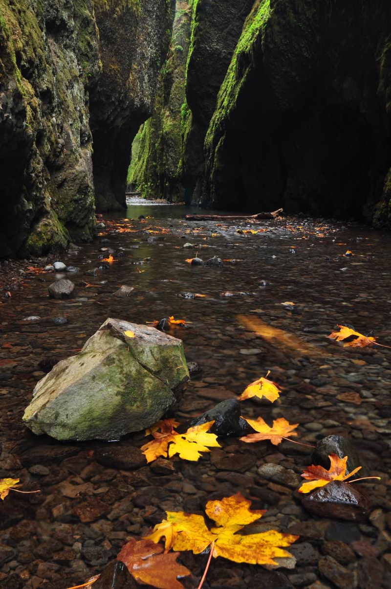 Illustration for article titled 48 Photos Of Autumn Around The World